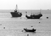Boats in Silhouette