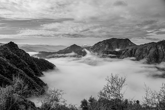 Cloud Wave
