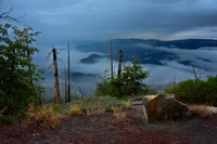 Predawn Fog