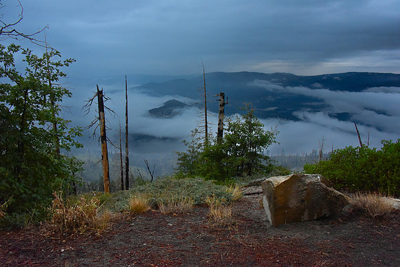 Predawn Fog