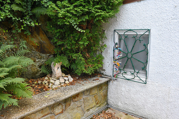 In the Garden