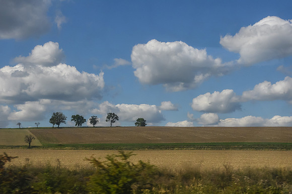 Trees and Clouds