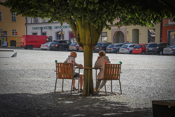 In the Shade