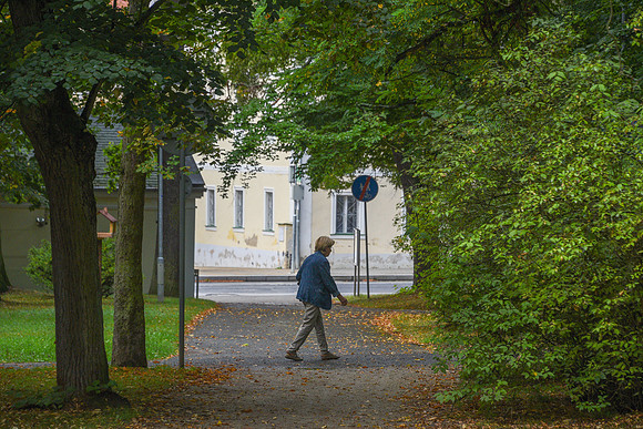 Morning Walk