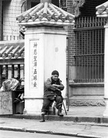 Old Woman on the Street