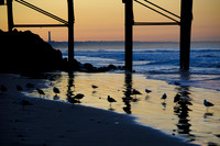Christmas at Oceanside