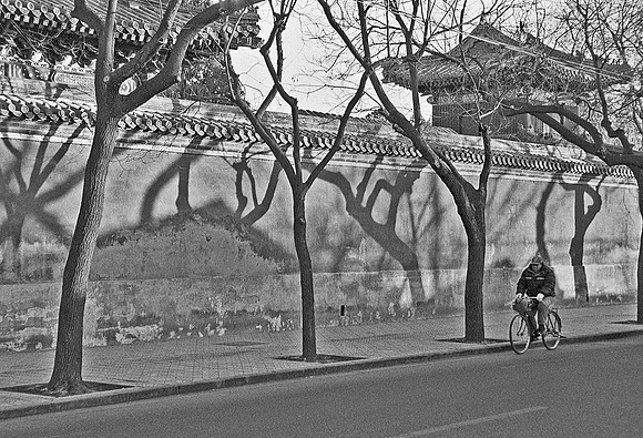 Lone bicycle