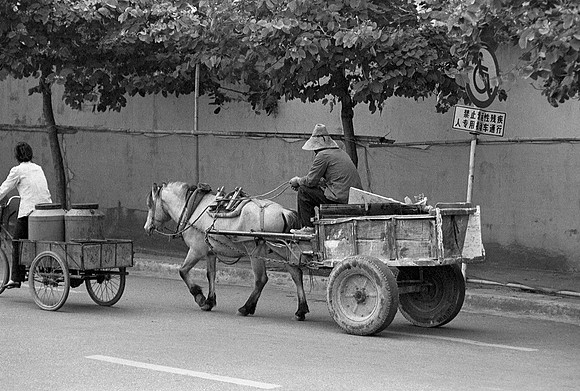 Horse Drawn Cart, Nanning, China 1999