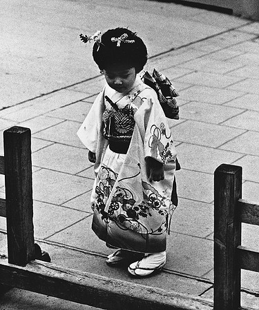 Young Geisha