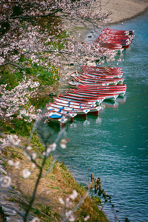 Row Boats 2