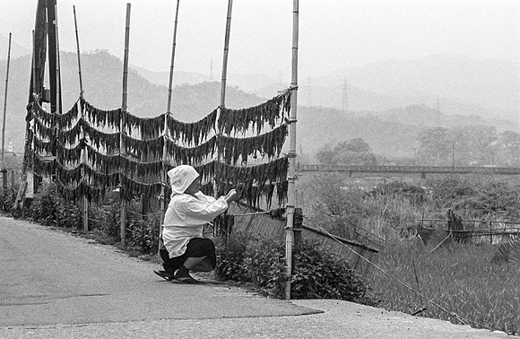 Mama San Drying Seaweed