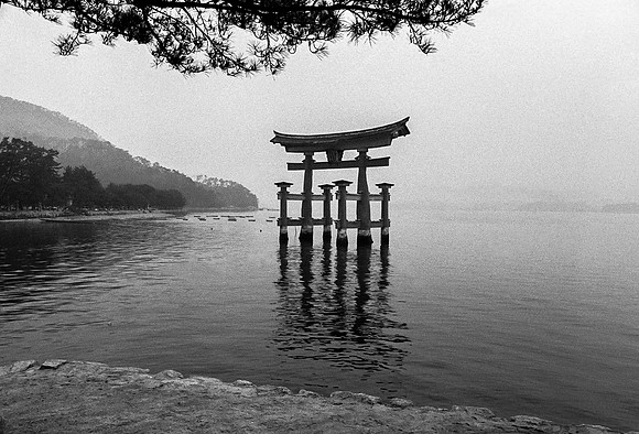 Floating Tori, Miyajima, Japan