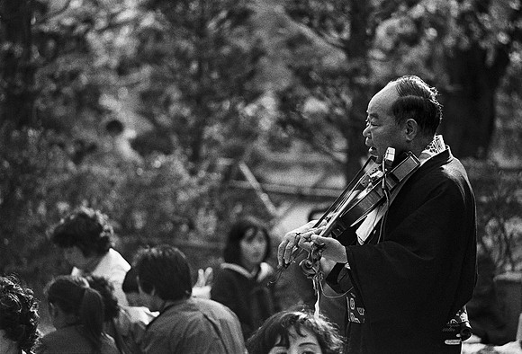 Muscian at Cherry Blossom Festival