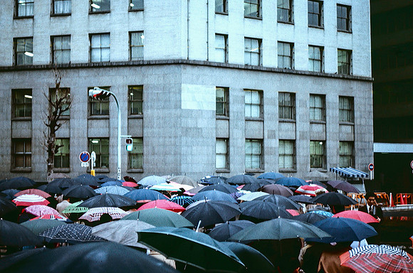A Sea of Umbrellas, Tokyo