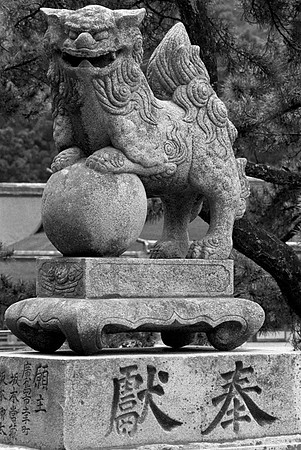 Temple Dog