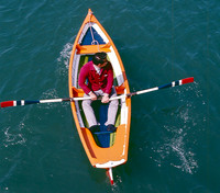 Vibrant Row Boat, Hiroshima Japan