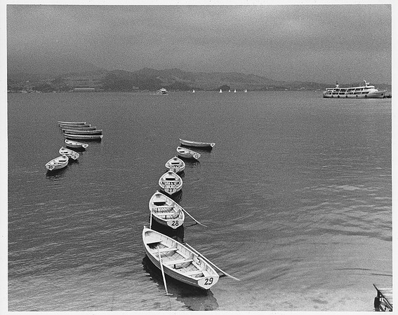 Rowboats for Rent