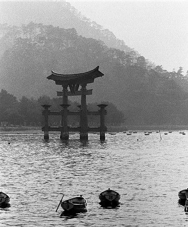 Floating Tori, Miyajima Japan