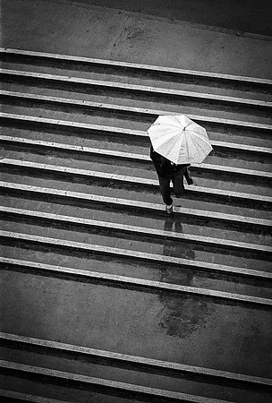 Lone Umbrella Tokyo 2