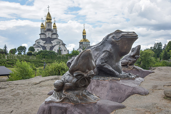 Frogs