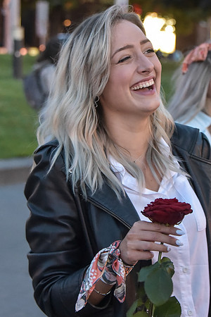 A Rose