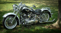 Renegade Bikeshow  2