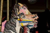 Merry Go Round Horses