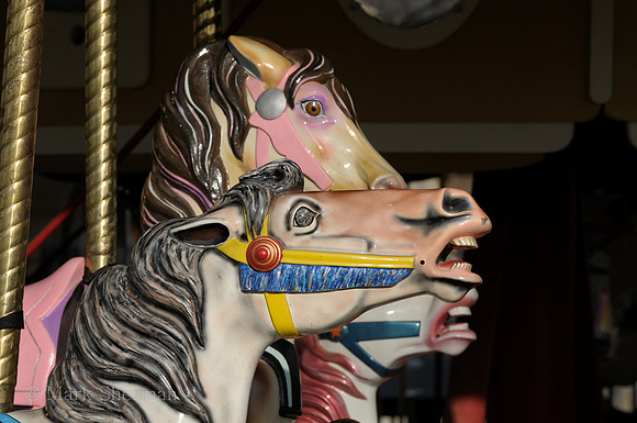 Merry Go Round Horses