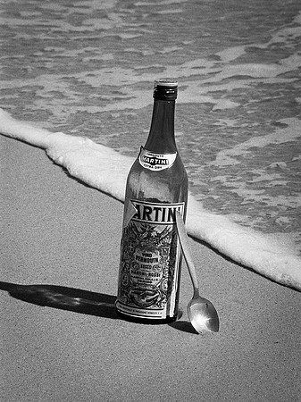 Long Island Still Life