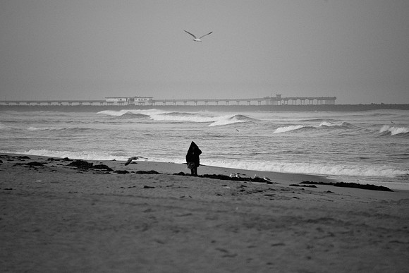Beachcomber