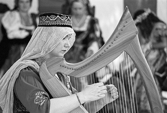 Harpist