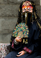 Veiled Gaze