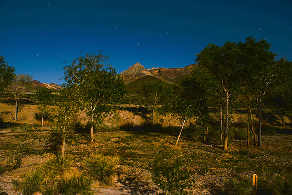 Night Sky