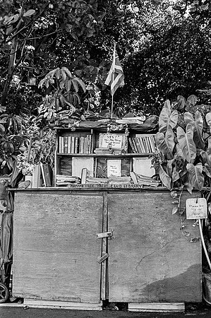 Kamani Tree Yacht Club Library