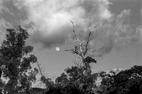 Lunascape