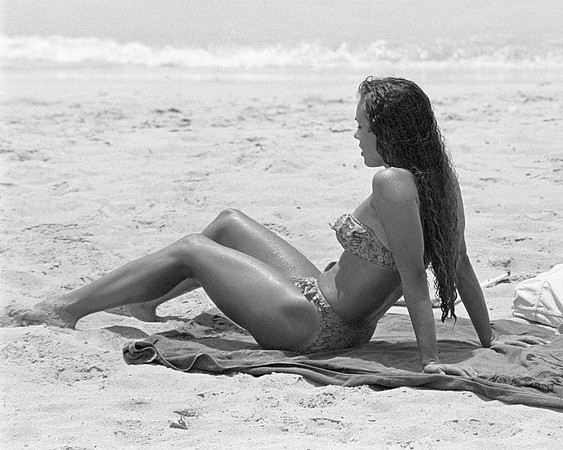 Beach Beauty