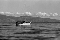 Maui 1996