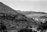 Arizona (33)
