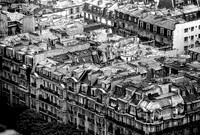 Paris Roof Tops