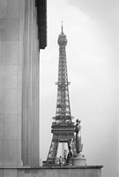 The Tower and the Ladies