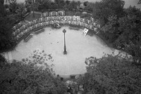 In the Park
