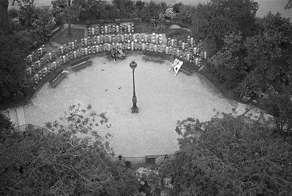In the Park