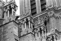 Gargoyles