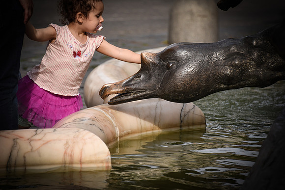 Petting the Goose