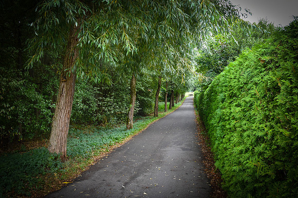 Beautiful Lane