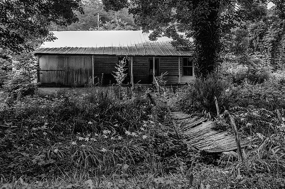 Tennessee Backwoods
