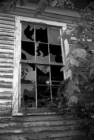 Window to the Past