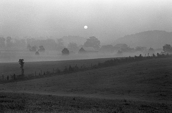 Misty Morning
