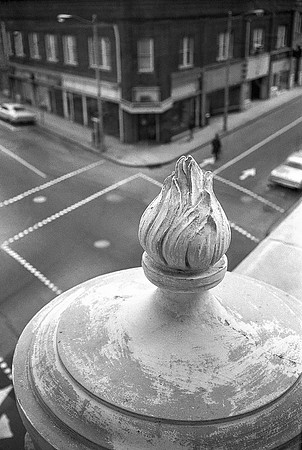 On the Roof