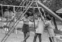 In the Park